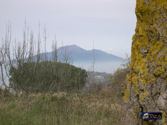 veduta del vesuvio.JPG